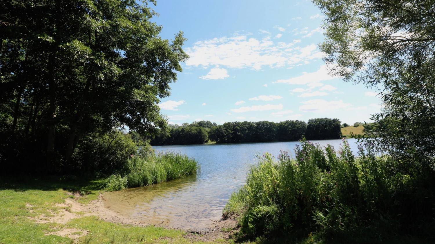 Lankower See mit bewaldetem Ufer